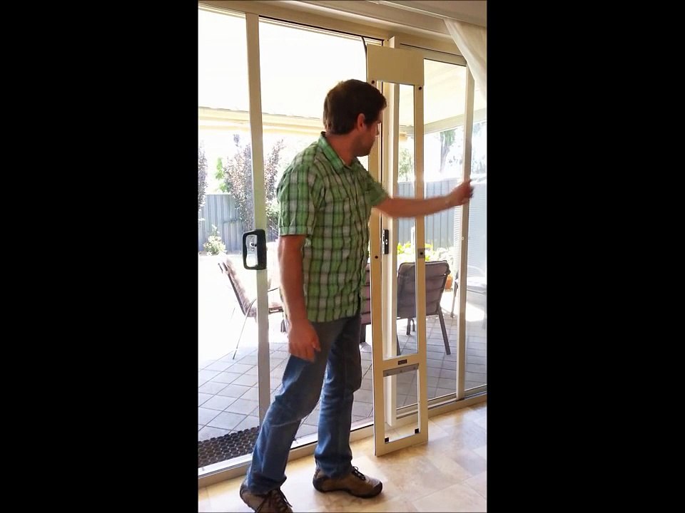 Installing a pet door in a sliding glass door by Modern Pet Doors (fast