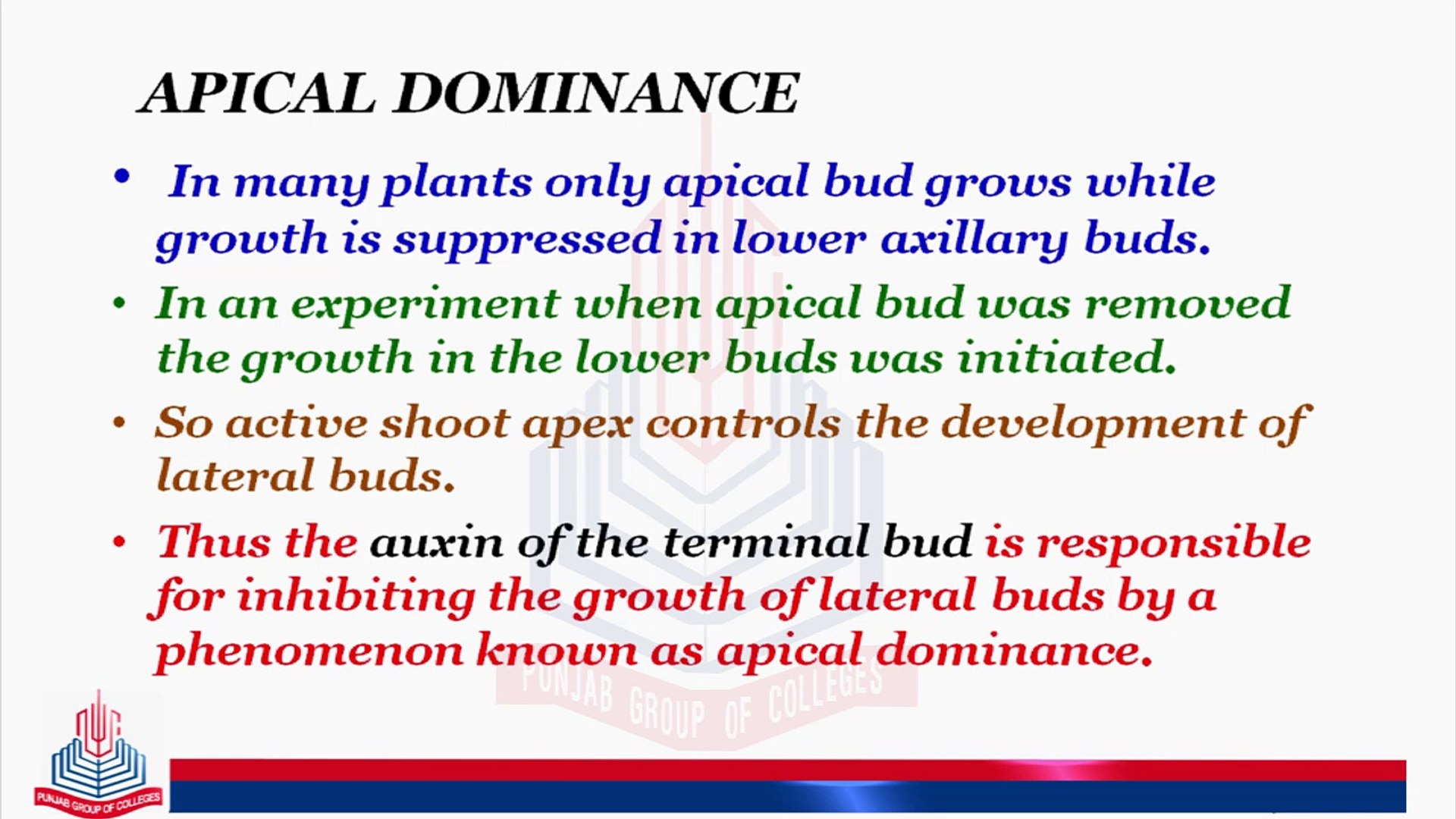 Apical Dominance