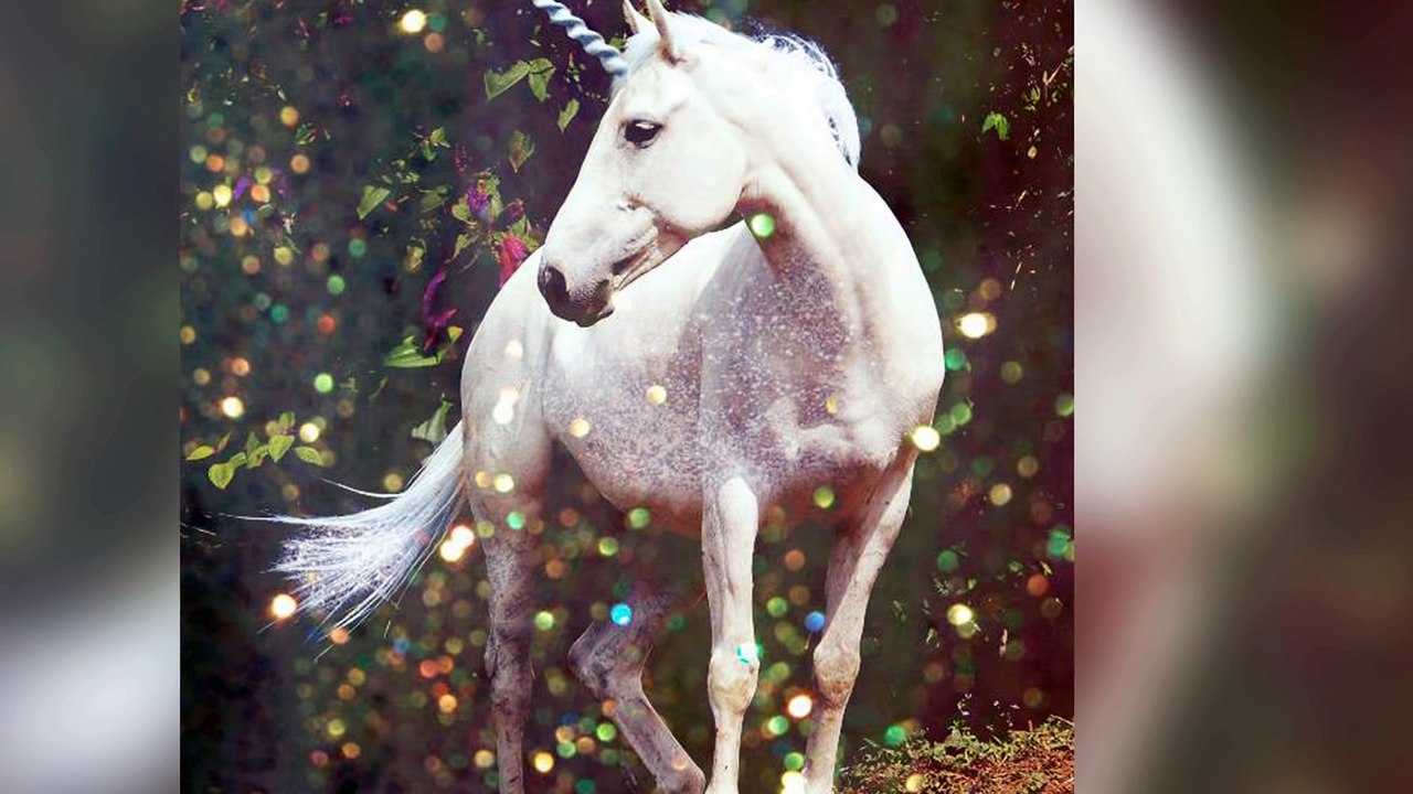 The Proof of Real Unicorn Found 2015 video Dailymotion