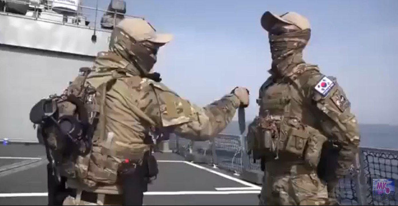 South Korean Navy UDT SEALs Hand to Hand Knife Combat Skills video