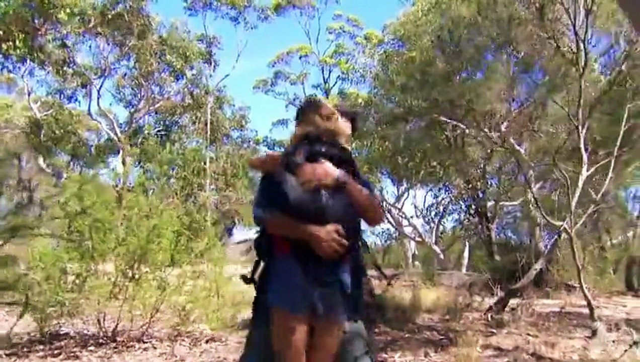 Home and Away 6490 (25th August 2016) Video Dailymotion