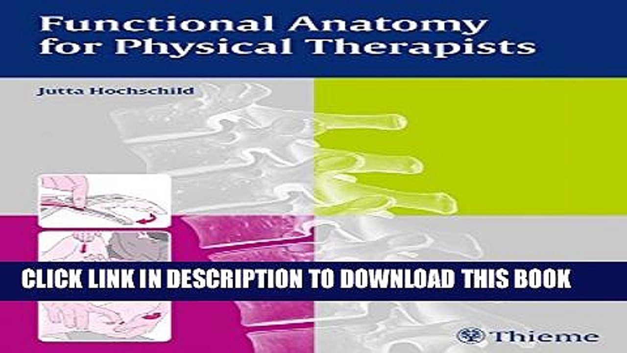 Functional Anatomy for Physical Therapists Barnes