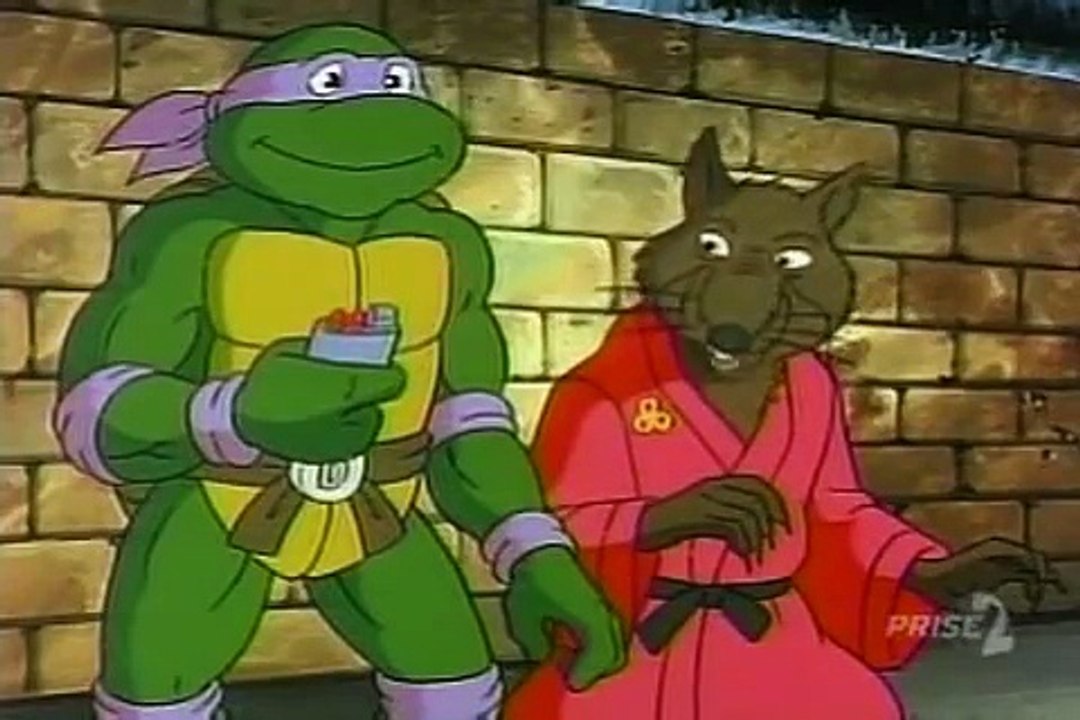 Tortues Ninja Les Chevaliers décaille S05E06 Sale temps