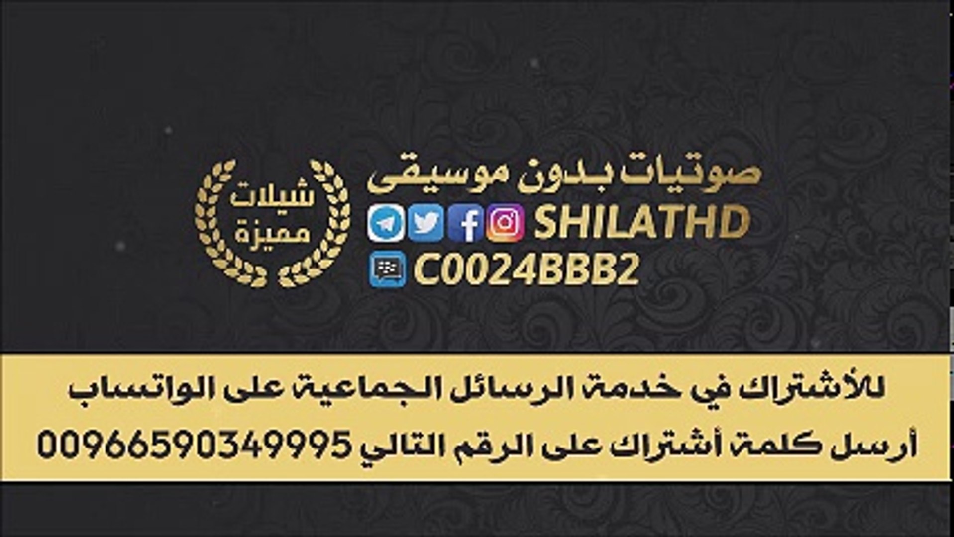 يوتيوب شيلات رقص بدون موسيقى Musiqaa Blog