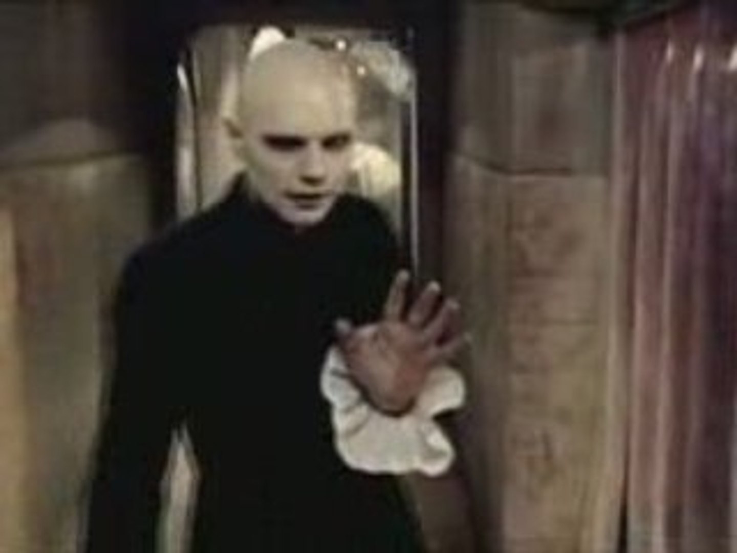 Ava Adore Wikipedia vlr.eng.br