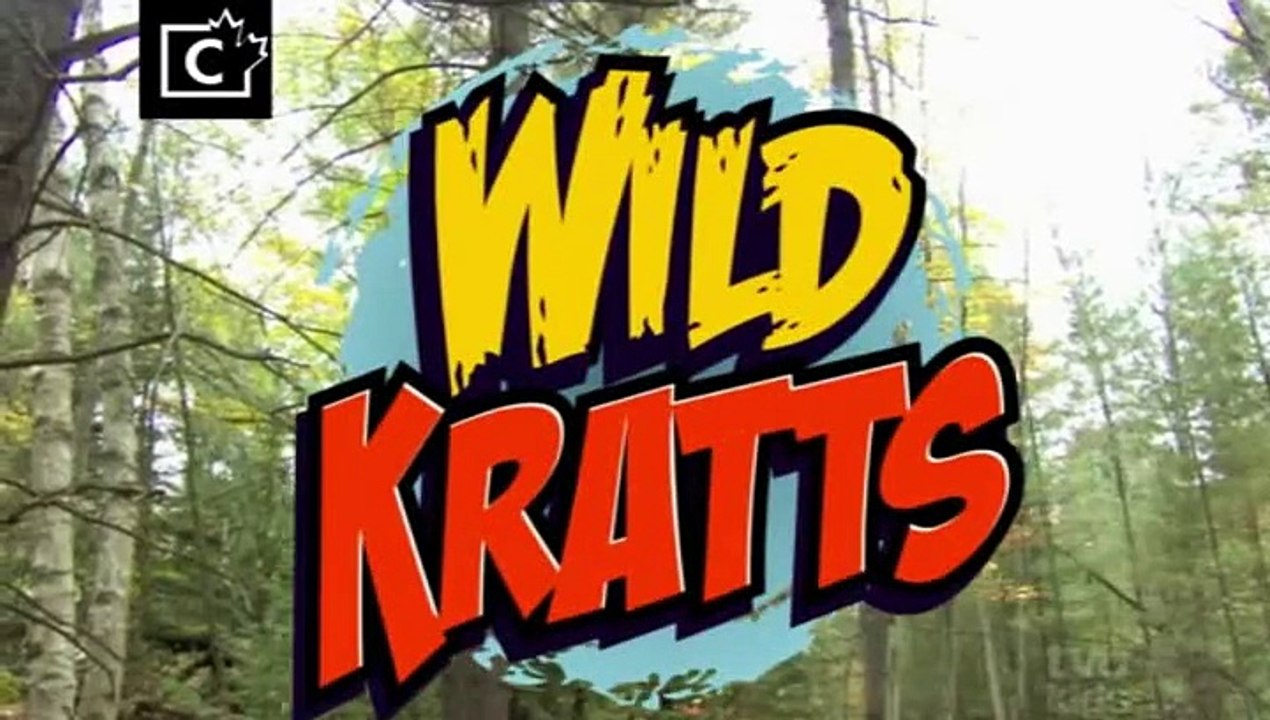 Wild Kratts The Food Chain Game Dailymotion Video