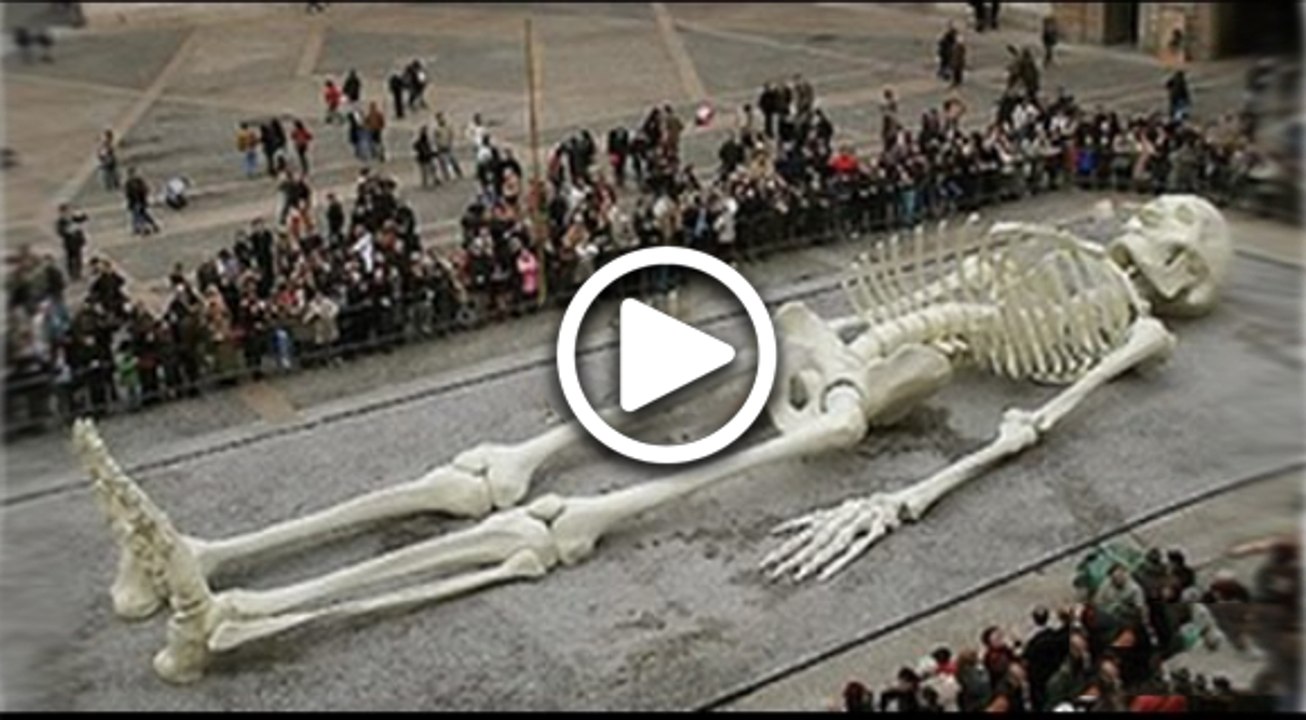 Biggest Human Skeleton Of World Is Found In Greece video Dailymotion