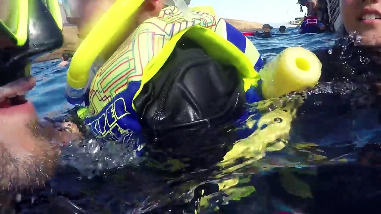 FUNnel Vision Hawaii vacation─影片 Dailymotion