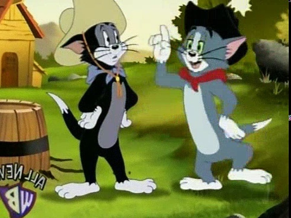 Tom and Jerry Cartoons Collection 330 24 Karat Kat [2007] video