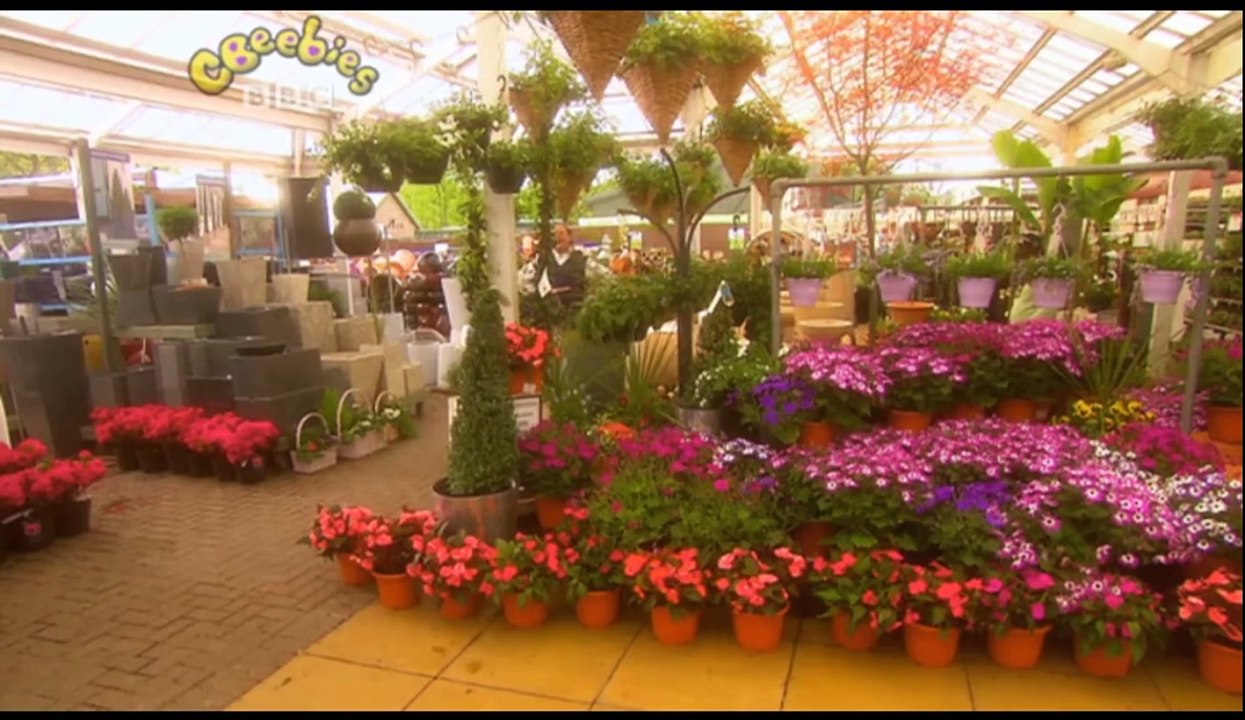 Humphrey at the Florist shop enjoy his pots of flower video Dailymotion