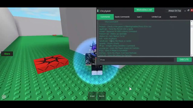 Can Roblox Lua Executors Work For Other Games