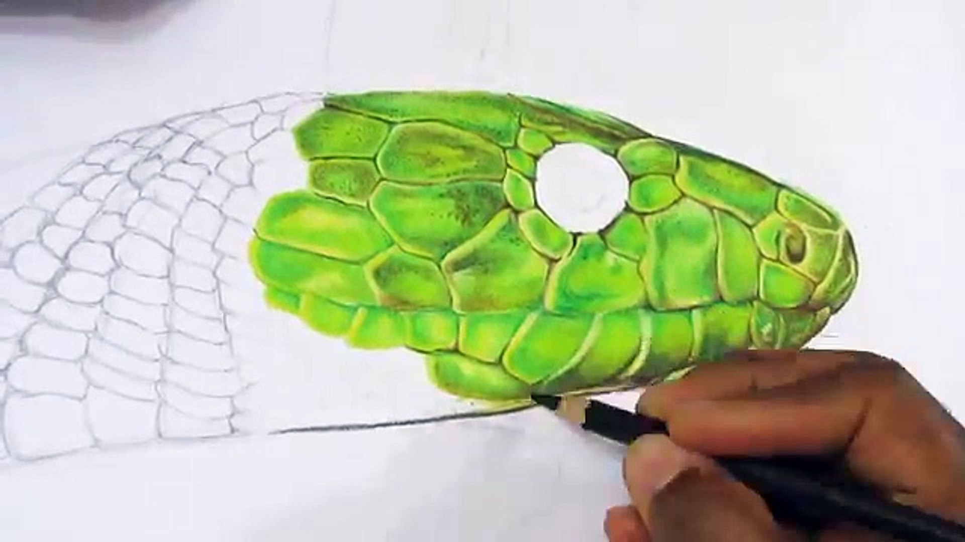 Easy Realistic Pencil Snake Drawing
