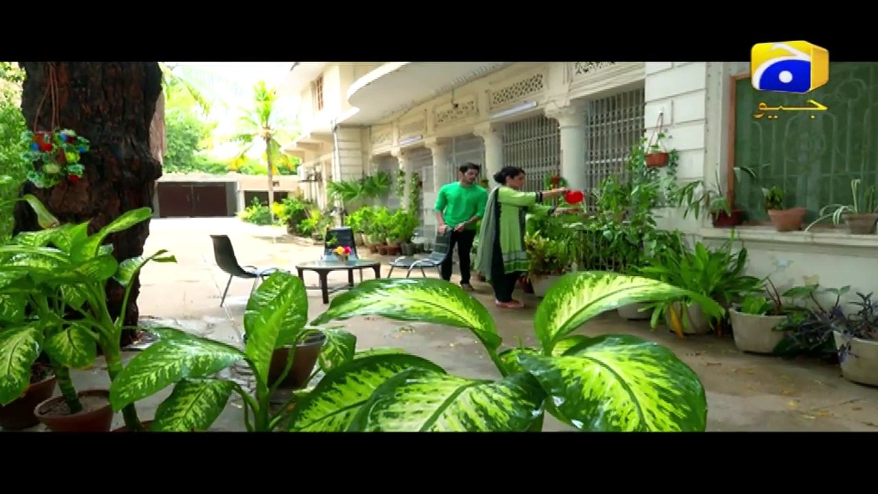 Hari Hari Churian Episode 12 17 October 2017 video Dailymotion