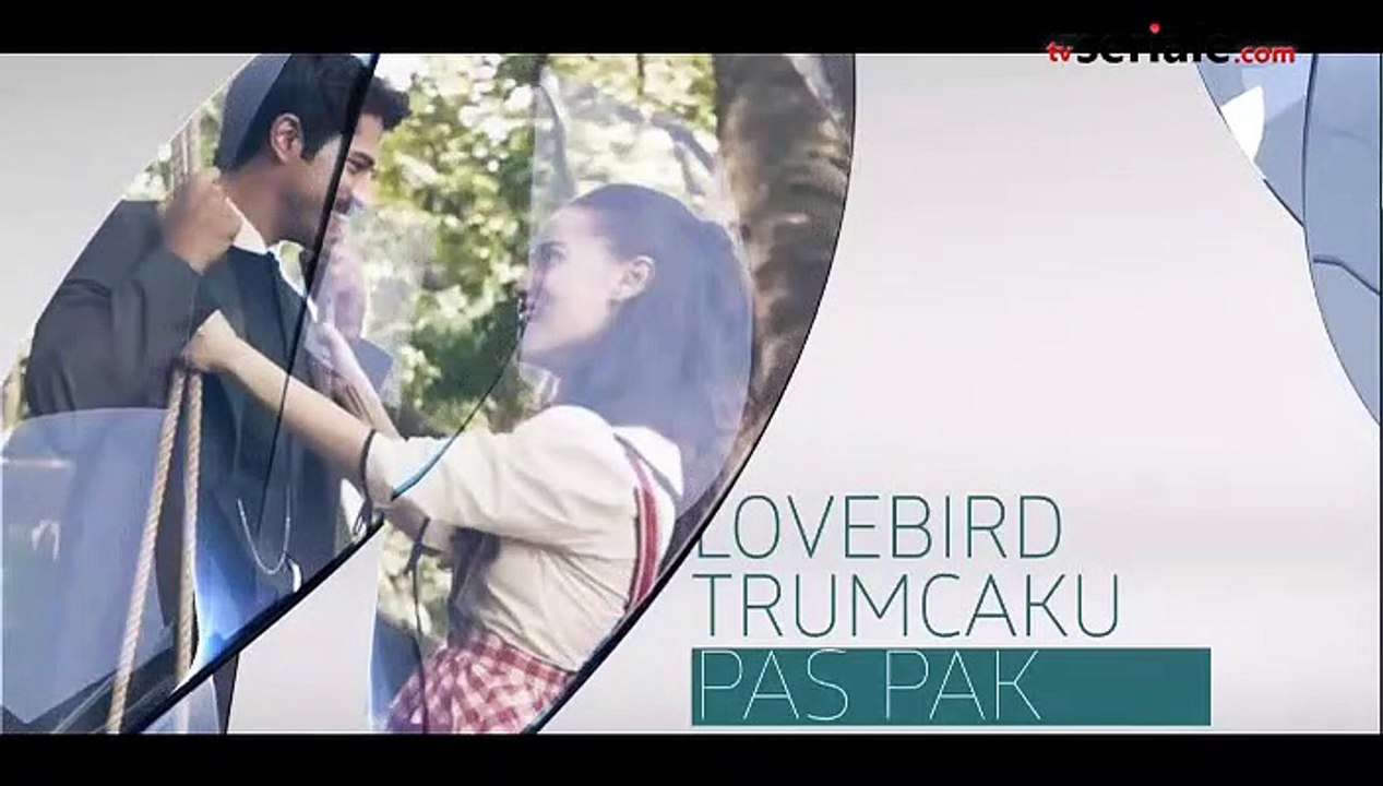 Trumcaku 44 video Dailymotion