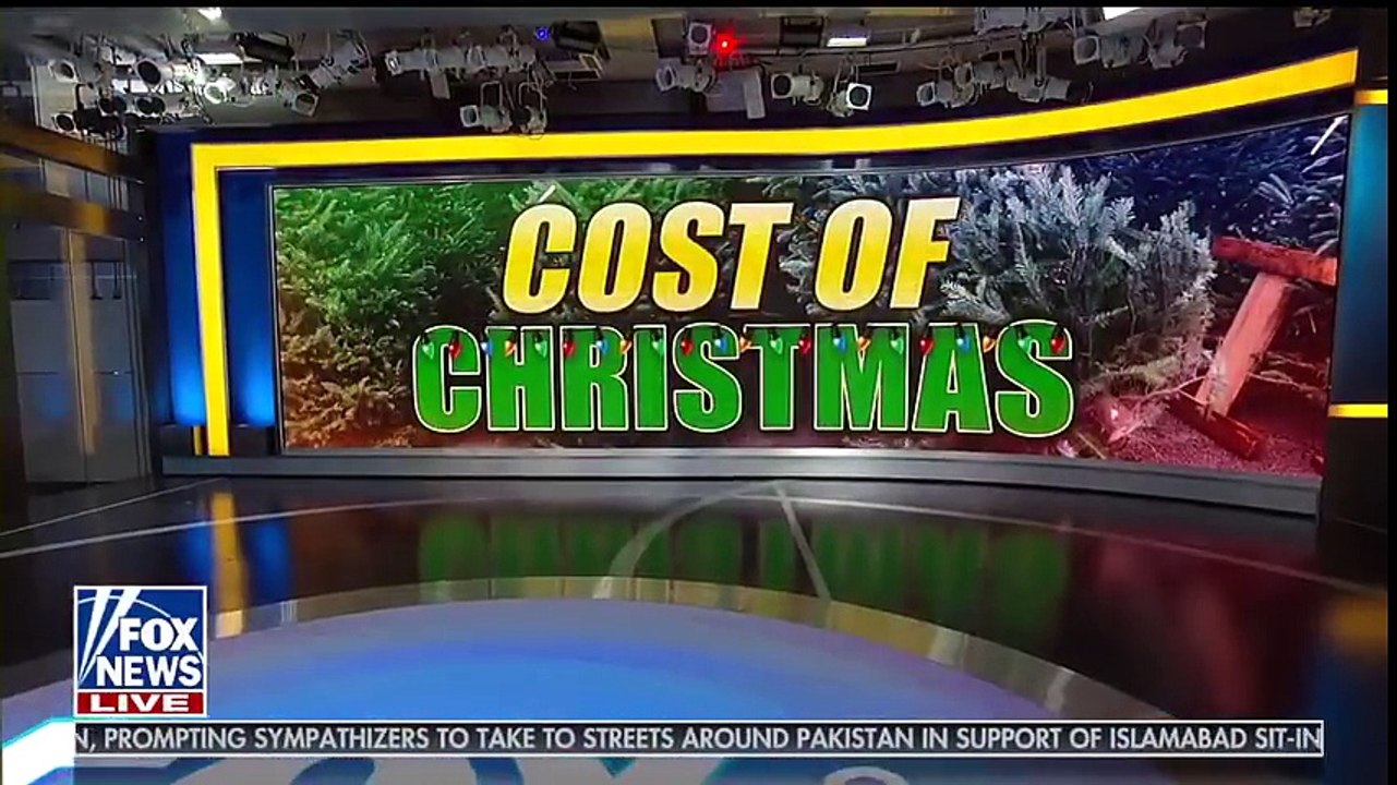Two days after Thanksgiving Fox slams war on Christmas trees ‘You can