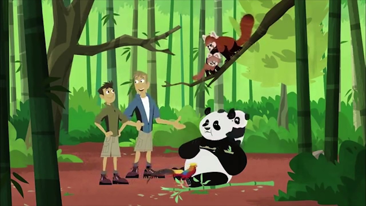 Wild Kratts Exploring Territorial Wild Animals (20 Minutes!) video