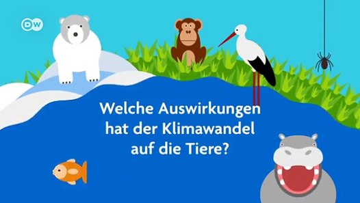 Wie wirkt sich der Klimawandel auf Tiere aus? Global