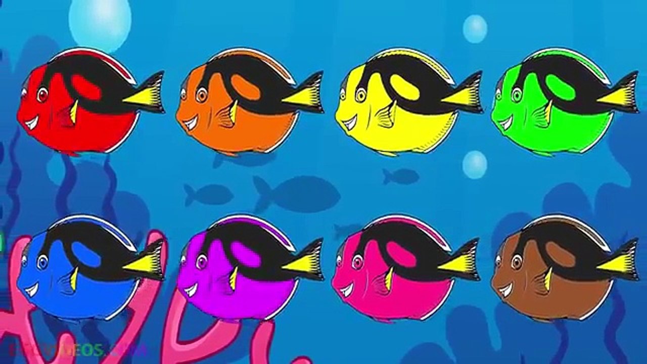 Learn Colors with Finding Dory Blue Tang Fish Coloring Pages (24) Play