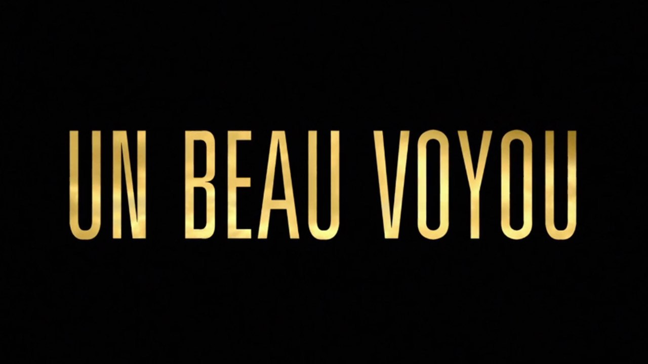 UN BEAU VOYOU (2017) WEBDL XviD AC3 FRENCH Vidéo Dailymotion