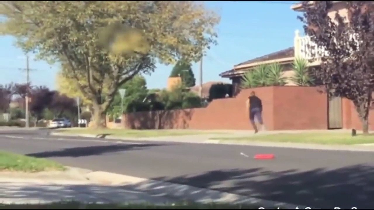 Run meme compilation! (Funny) video Dailymotion