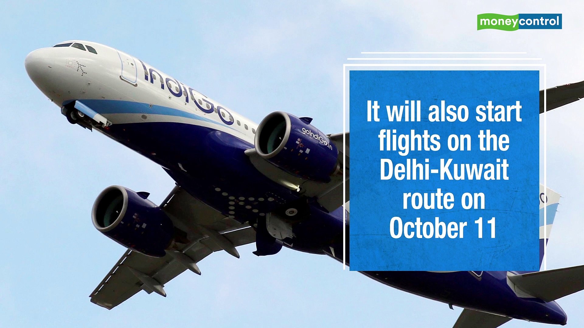 Indigo Airlines Riyadh To Mumbai