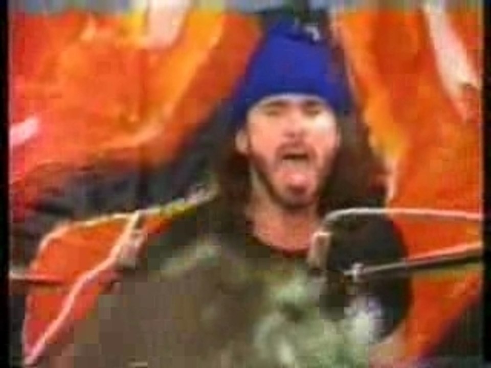 Red Hot Chili Peppers Yertle the Turtle (Studio) Vidéo Dailymotion