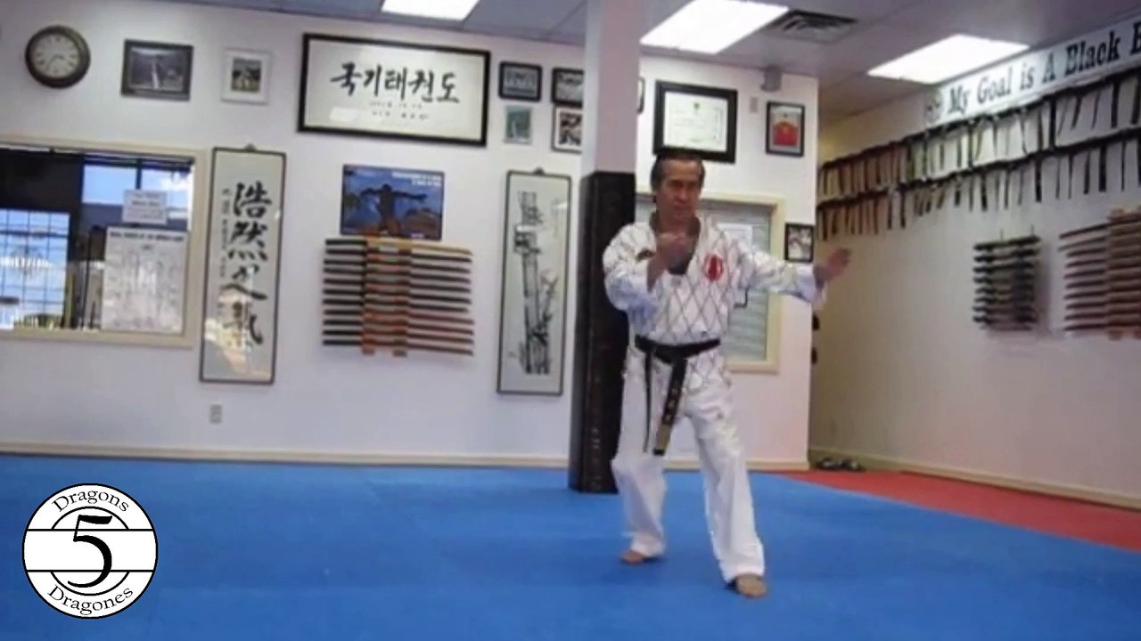 Taekwondo Poomsae Taegeuk 6 Jang Vídeo Dailymotion