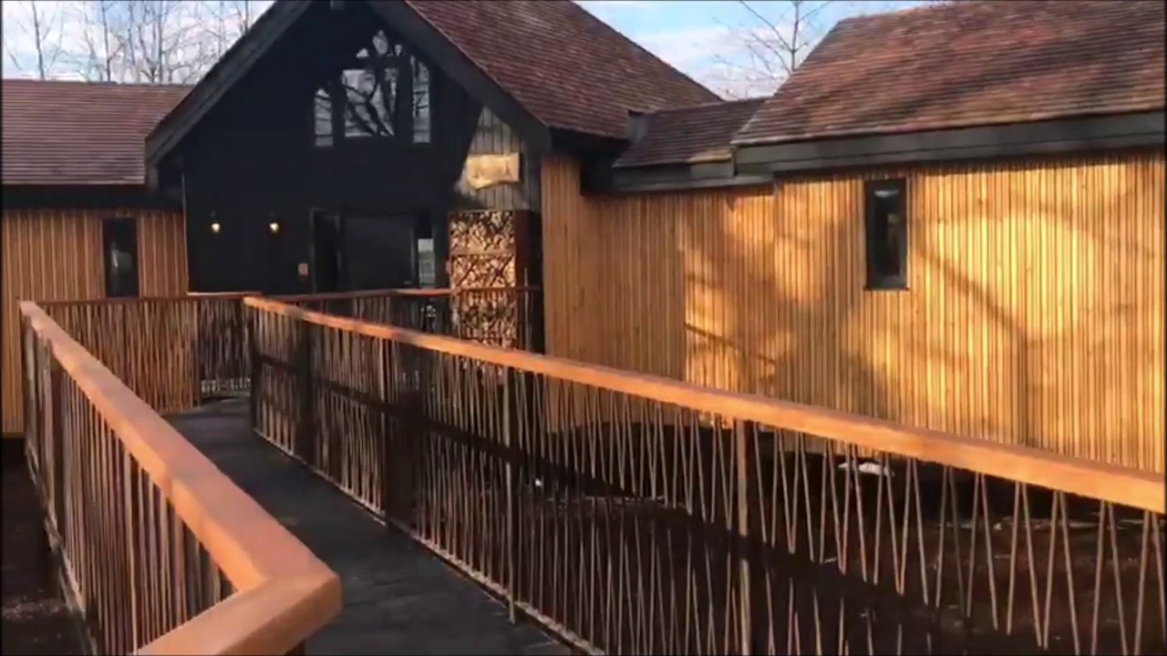 A look around Ramside Hall Hotel's luxury tree houses video Dailymotion