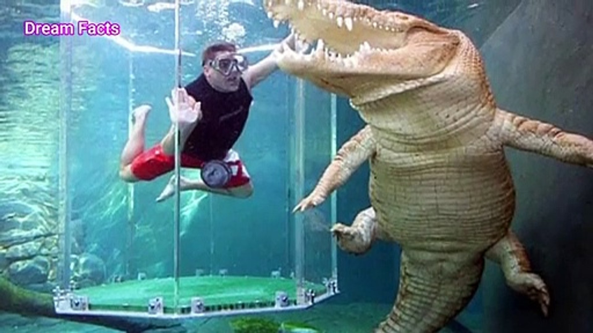 The Most Dangerous Pool In The World