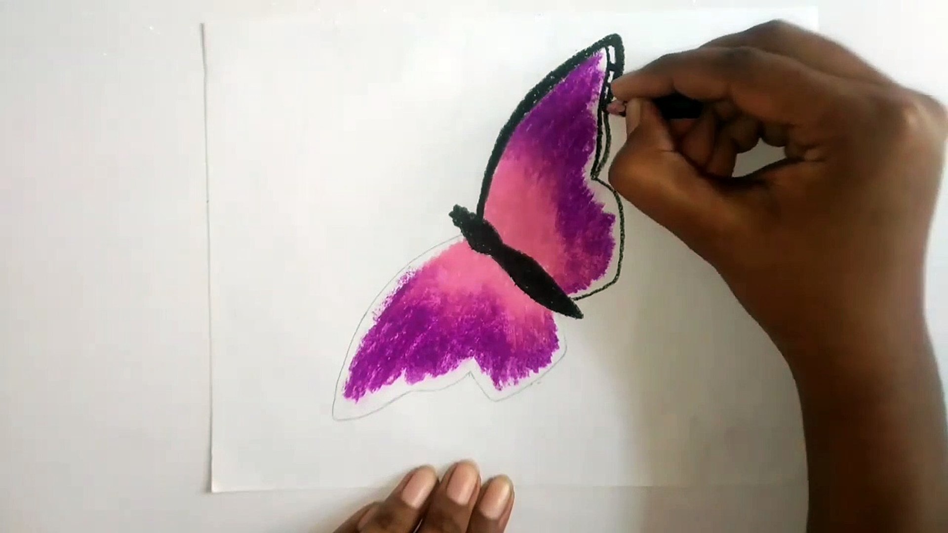 Magical Glowing Butterfly Scenery / Drawing With Oil Pastels / Step By Step [No Clickbait] - Youtube How To Draw A Butterfly By Oil Pastel --For Beginners. - Video Dailymotion