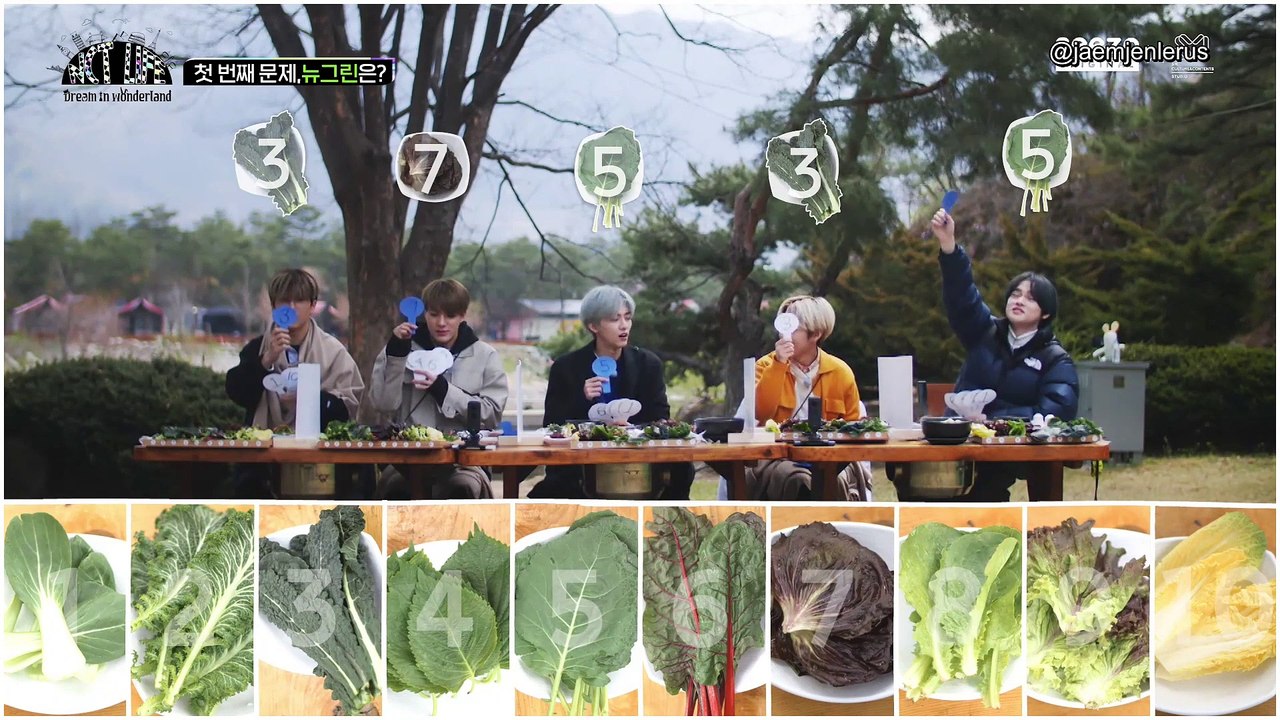 [INDO SUB] NCT LIFE DREAM in Wonderland EP 1(2/2) 동영상