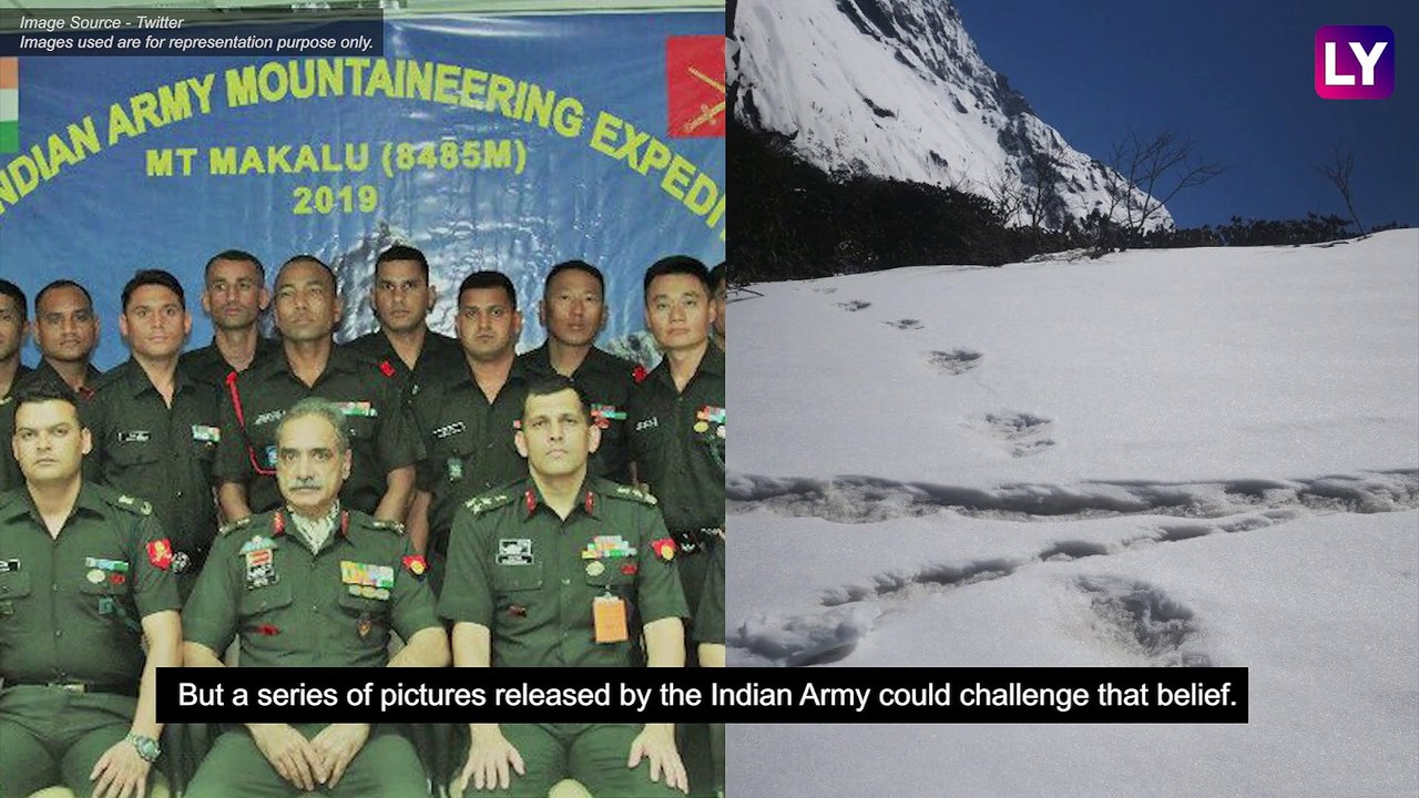 What is a Yeti? Interesting Facts About the Abominable Snowman video