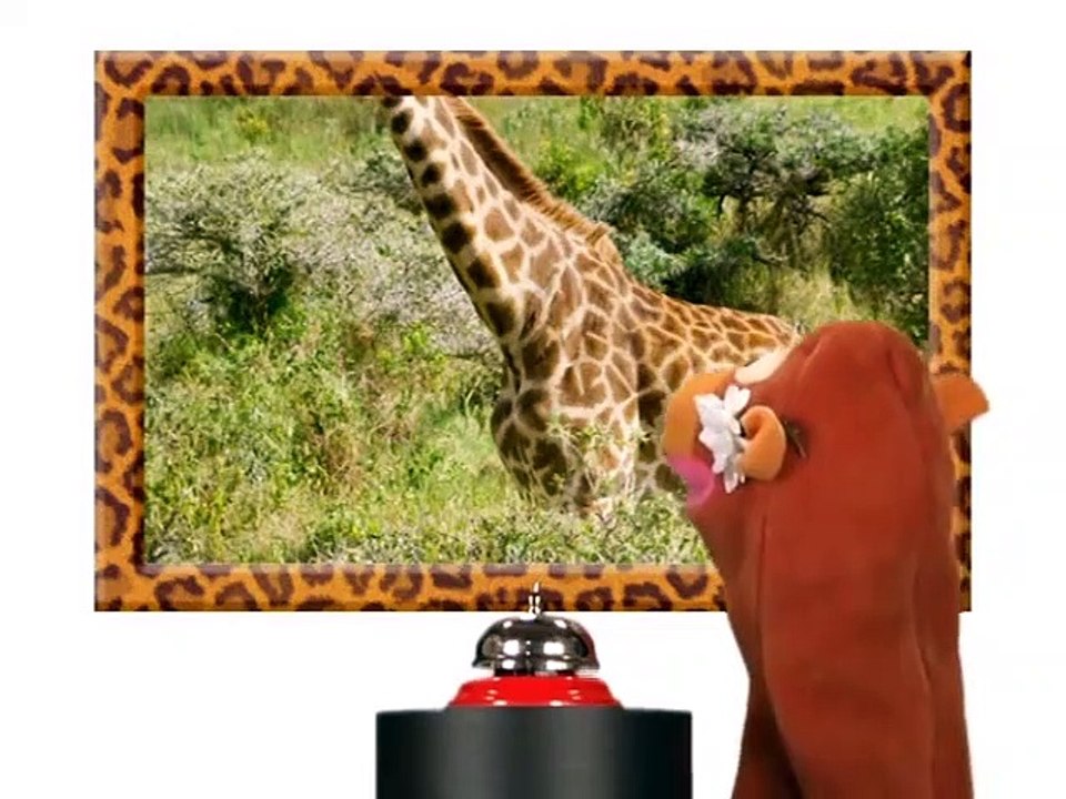 Baby Einstein Classics Season 1 Episode 6 Wild Animal Safari video Dailymotion