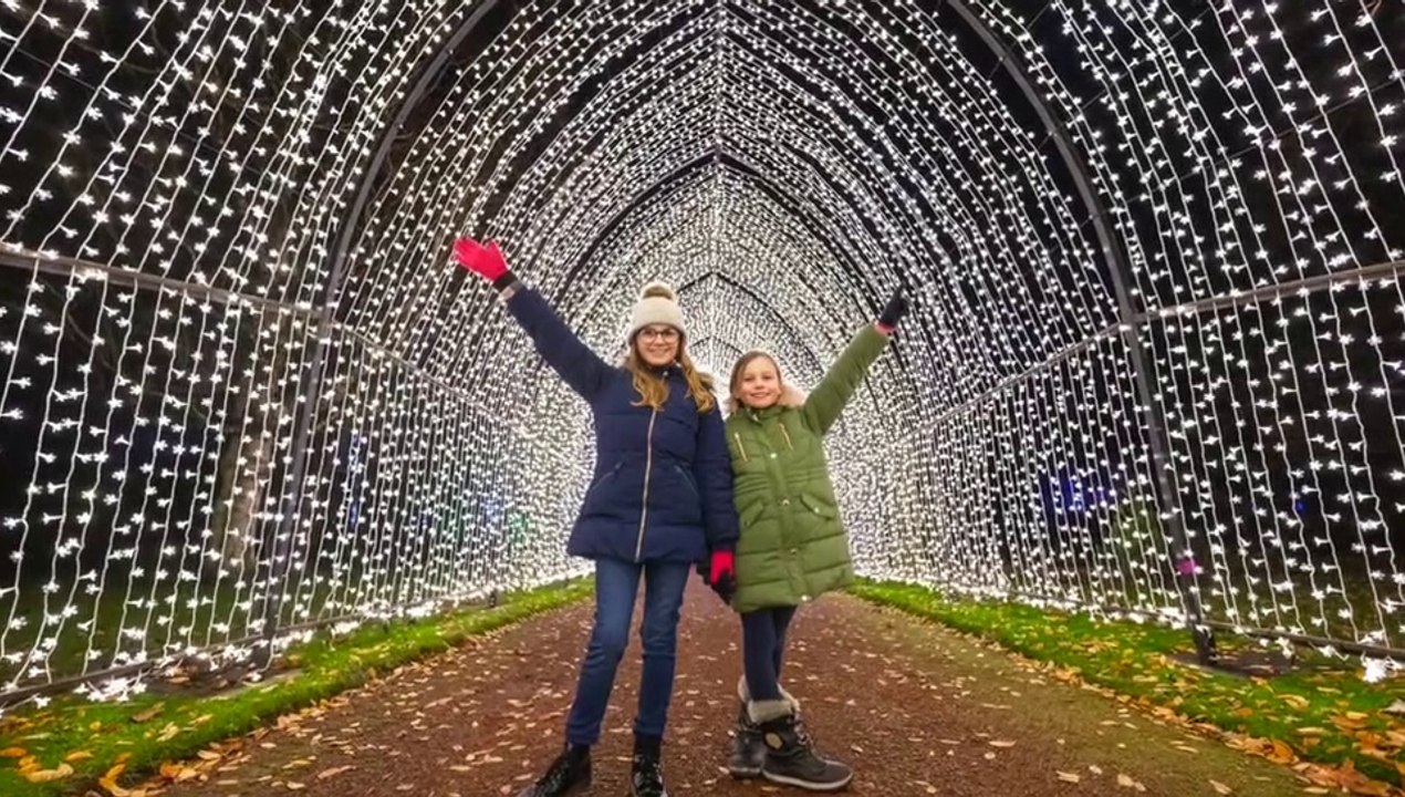 NEW PHOTOS Christmas At The Botanics 2020 dazzles in these new pictures video Dailymotion