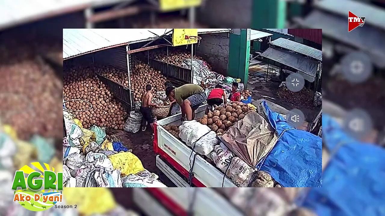 “PAGGAWA NG VIRGIN COCONUT OIL” Ep.31 AGRI Ako D’yan video Dailymotion