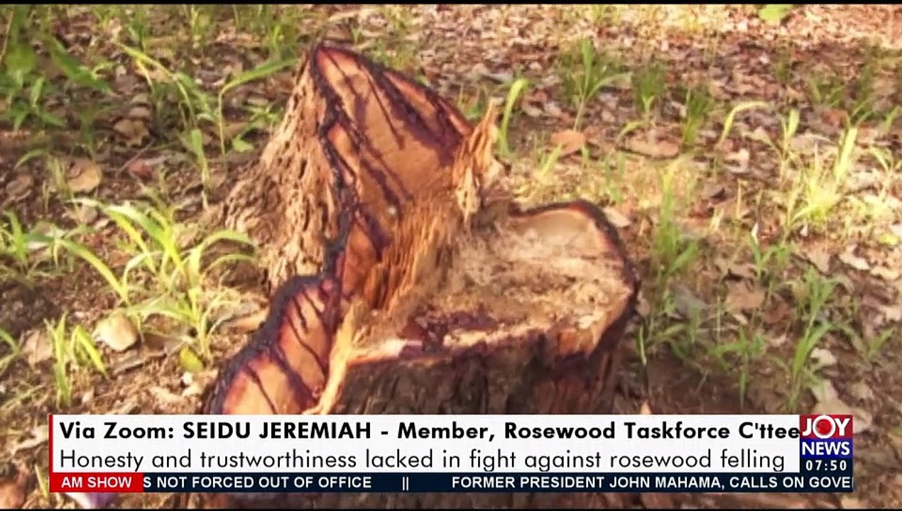 Illegal Rosewood Trade JoyNews holds forum to find solution to illegal
