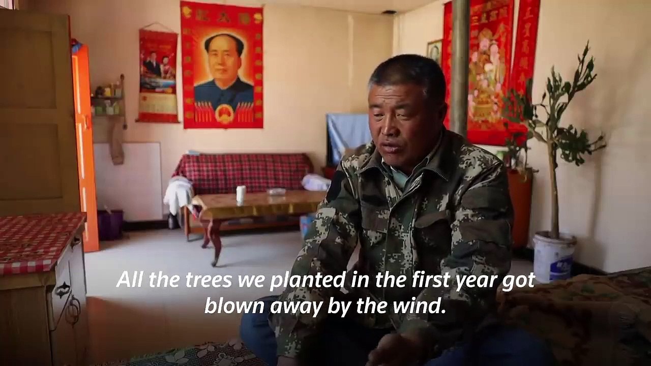 Reforestation and China's Great Green Wall video Dailymotion