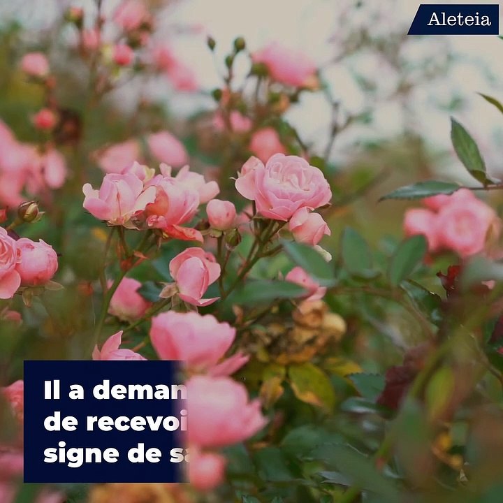 Sainte Thérèse de Lisieux pluie de grâces avec la "Neuvaine des roses