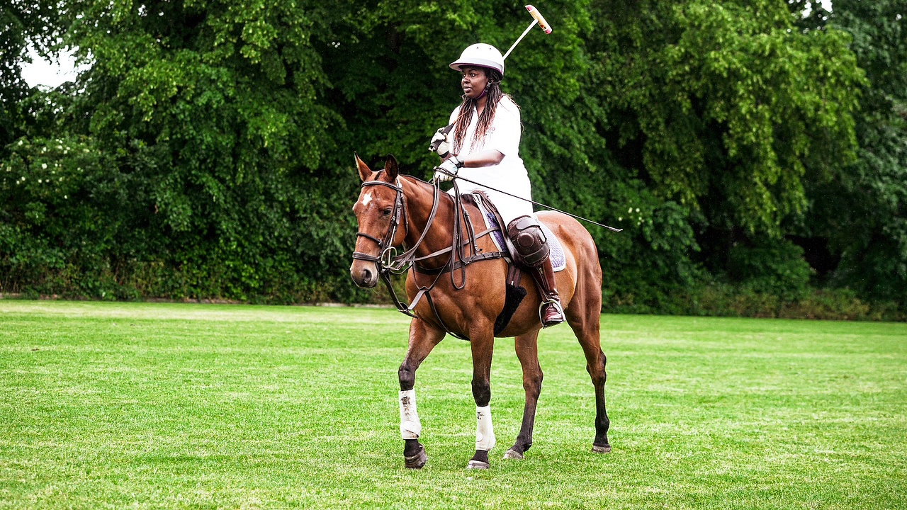 BSL Zone Small World 2 to Together TV Together for good