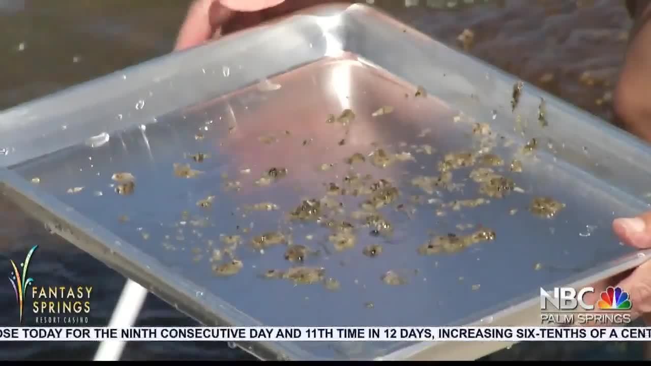 Advocates Warn of Toxic Fumes Near the Salton Sea video Dailymotion