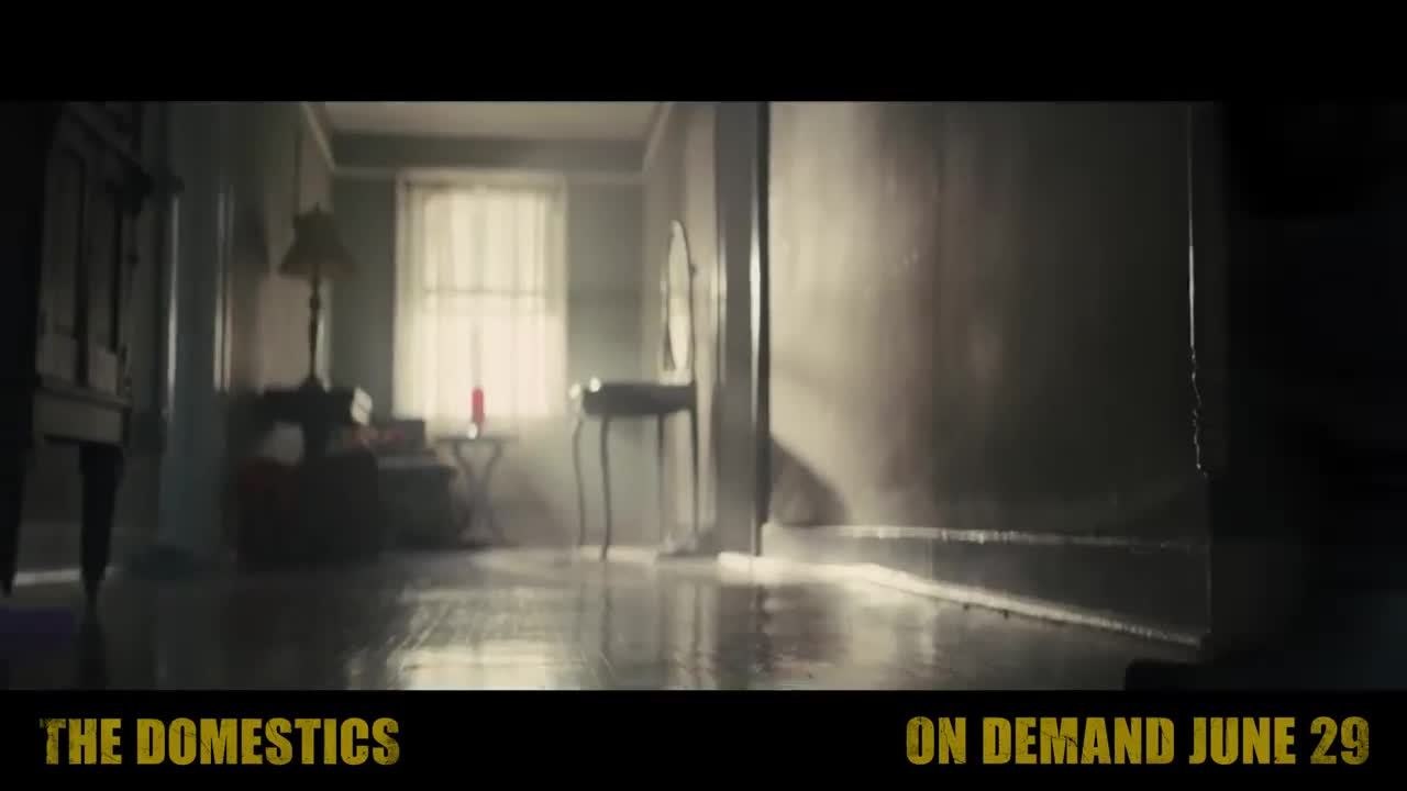 The Domestics 16 aout Vidéo Dailymotion