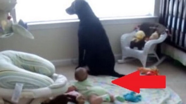 Als diese Mutter den Hund bellen hört, denkt sie zuerst
