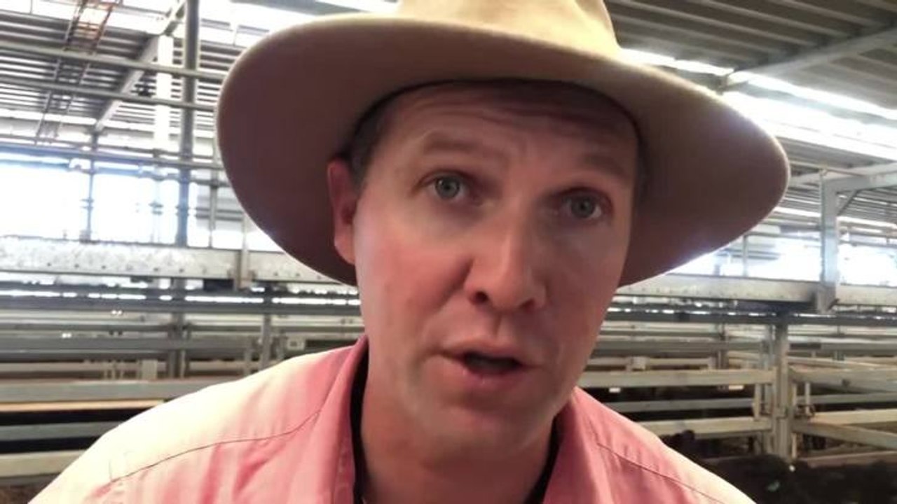 Matt Tinkler video Dailymotion