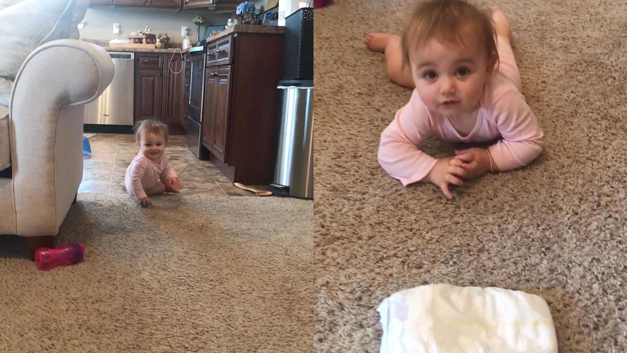 'Mischievous cat jumps on baby girl and ruins wholesome