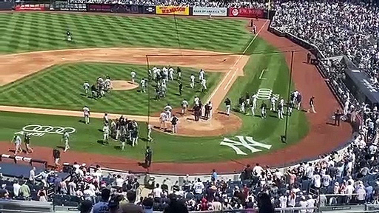 Yankees, White Sox Benches Clear at Yankee Stadium video Dailymotion
