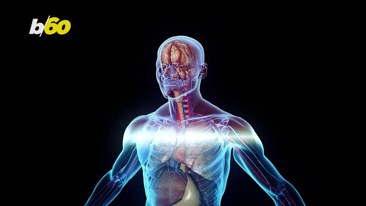 Diet soda, Good for You or Bad for You? video Dailymotion