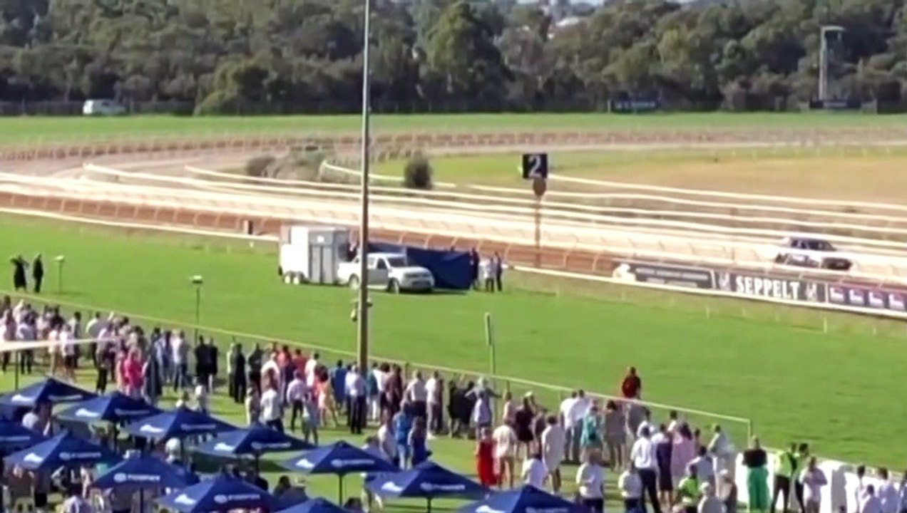 Inquiry underway after horse euthanised at Perth Cup video Dailymotion