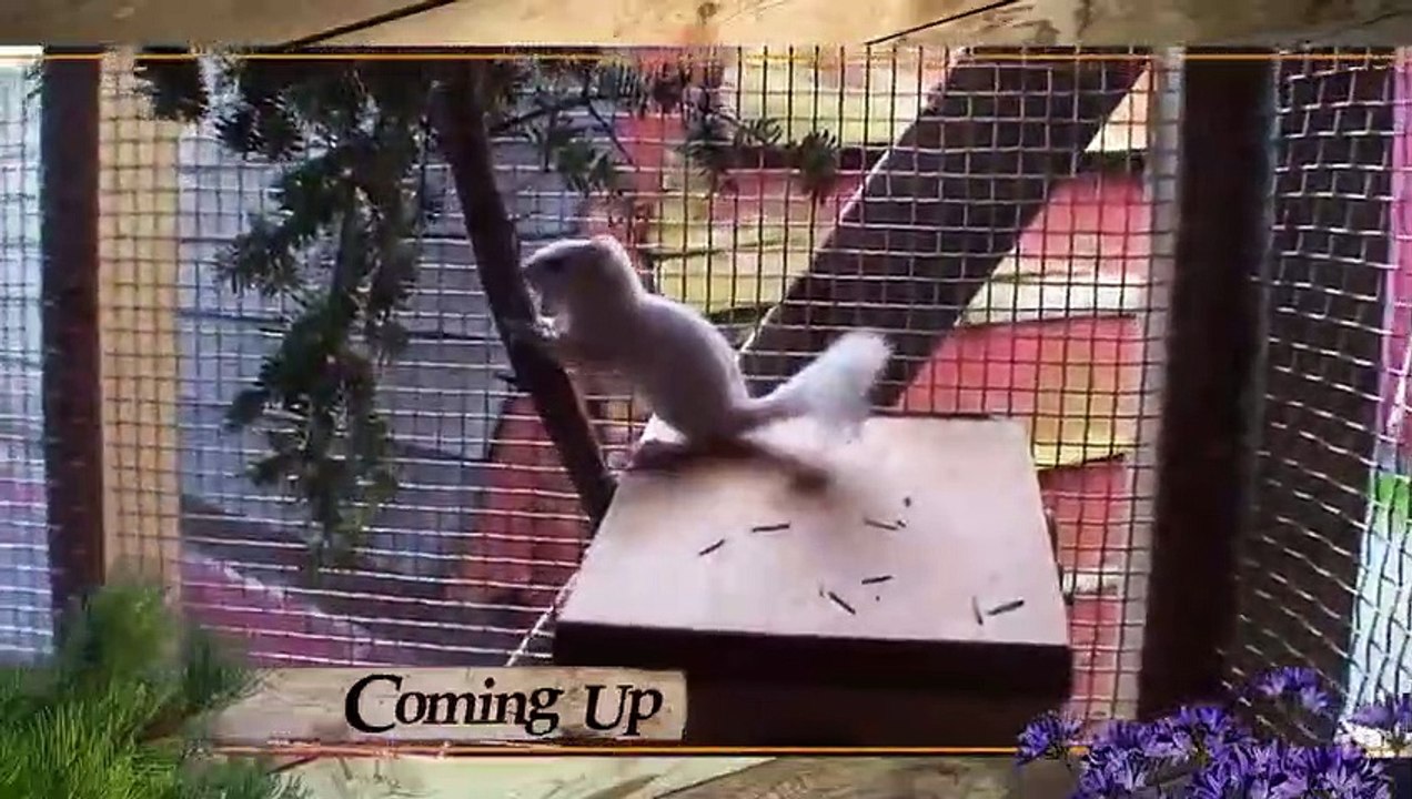 Hope in the Wild Se1 Ep16 HD Watch video Dailymotion