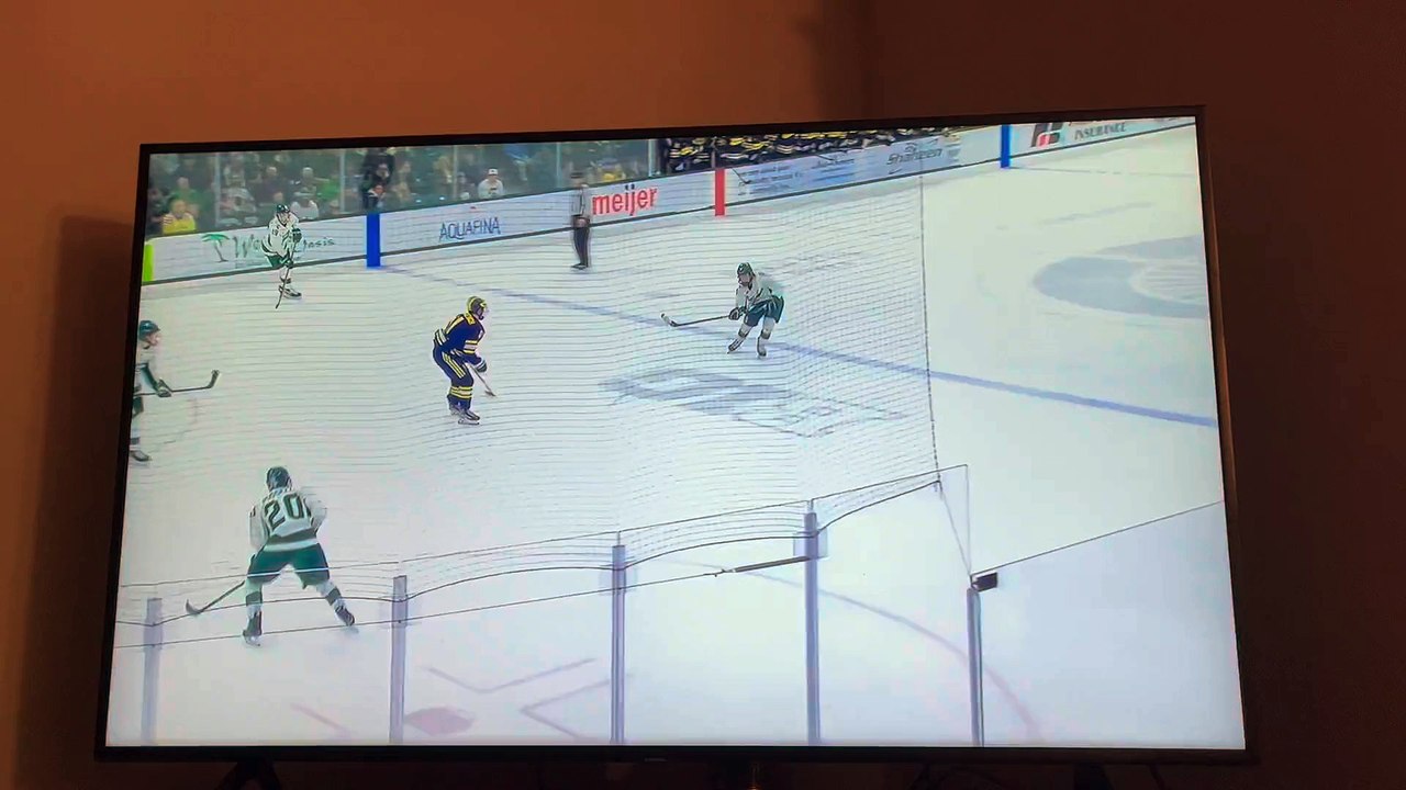 UMMSU Hockey brawls4 video Dailymotion