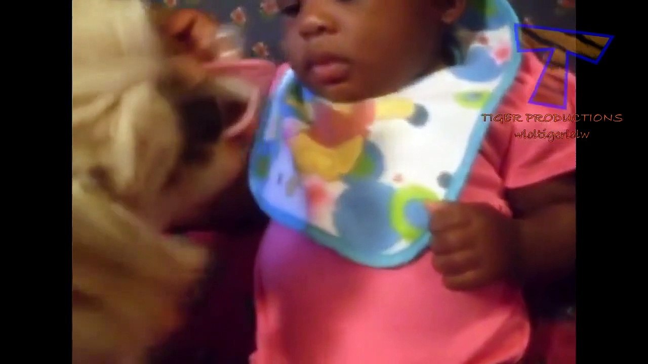 Funny dogs jealous of babies Cute dog & baby compilation Vidéo